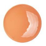 Price and Buy Elegant Ceramic Dinnerware Plate – Durable, Stylish, and Dishwasher Safe (Set of 6) - Image 8