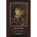 Price and Buy Facing the Flag Novel by Jules Verne (Farsi)