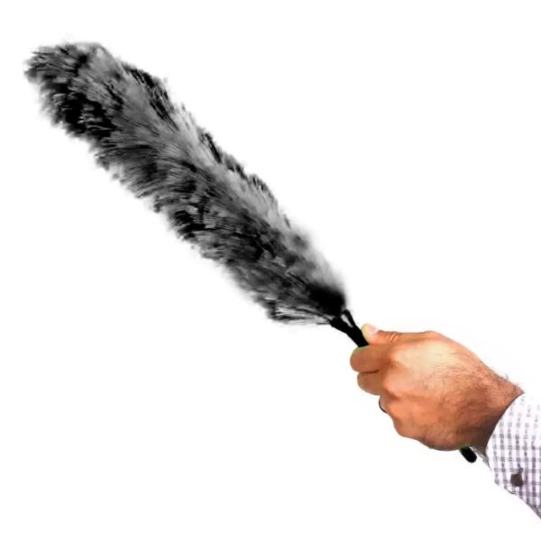 Price and Buy Feather Duster for Religious Ceremonies – Symbol of Purity and Cleaning_6900e26dd31ee.jpeg Price and Buy Feather Duster for Religious Ceremonies – Symbol of Purity and Cleaning