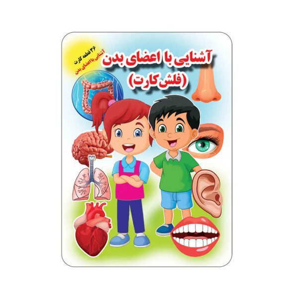 Price and Buy Flashcards for Learning about Body Parts (Farsi)_68fd3f24521f1.jpeg Price and Buy Flashcards for Learning about Body Parts (Farsi)