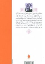 Price and Buy Flight into darkness book by Arthur Schnitzler (Farsi) - Image 3