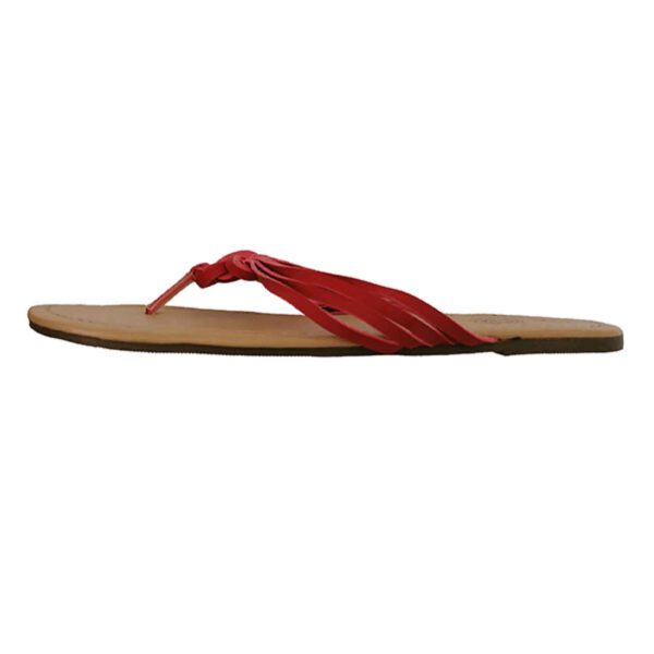 Price and Buy Flip Flop Thong Slippers Open Toe for Women_68ff700739abb.jpeg Price and Buy Flip Flop Thong Slippers Open Toe for Women