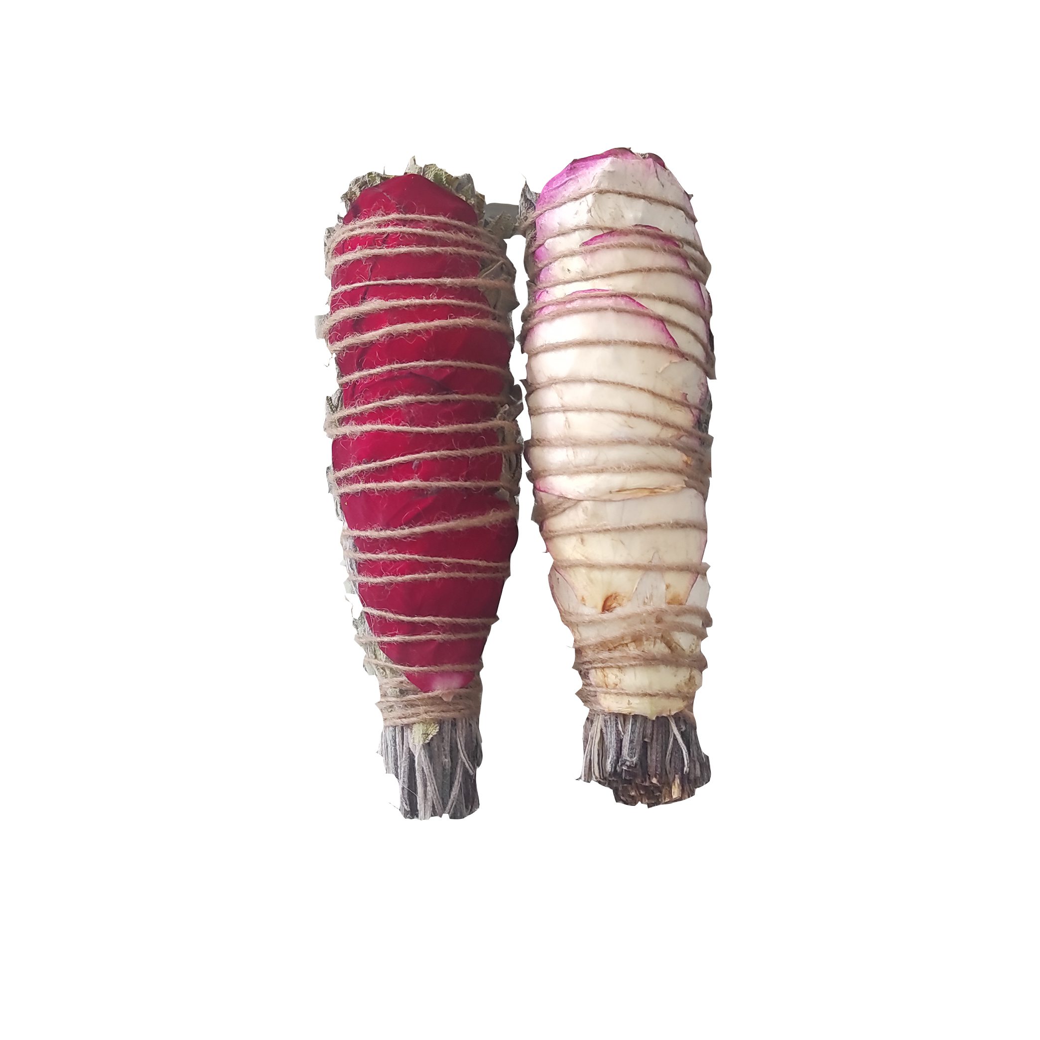 Price and Buy Floral Smudge kit – Sage and Rose, Suitable for Calm and Focus (Pack of 4)_69030a96b9ed0.jpeg Price and Buy Floral Smudge kit – Sage and Rose, Suitable for Calm and Focus (Pack of 4) - Image 1