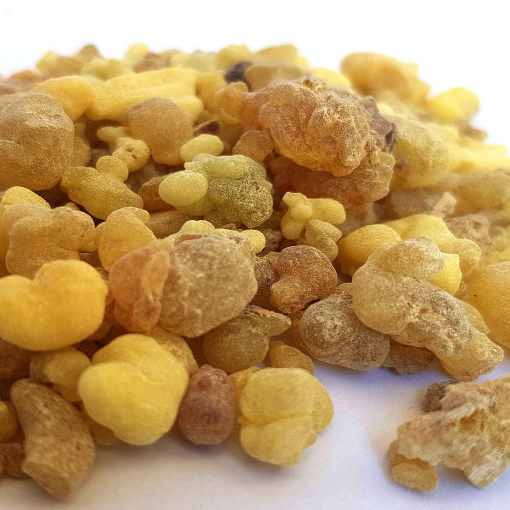 Price and Buy Frankincense Resin (Olibanum) – Incense for Burning, 700 Gram