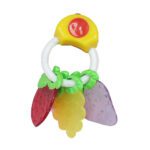 Price and Buy Fruit Design Teething Toy for Babies – BPA-Free & Gentle on Gums