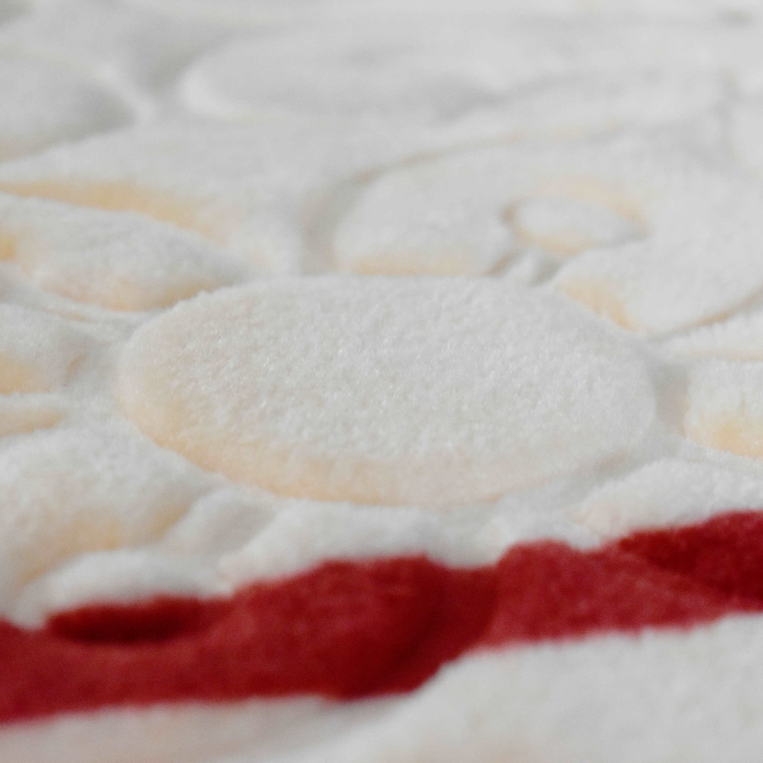 Price and Buy Golbaft Persian Single Bed Blanket Floral Red - Image 3