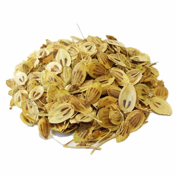 Price and Buy Golpar: Dried Angelica Seeds / Persian Hogweed 800g – Aromatic Culinary Herb_68f4af7c470ca.jpeg Price and Buy Golpar: Dried Angelica Seeds / Persian Hogweed 800g – Aromatic Culinary Herb