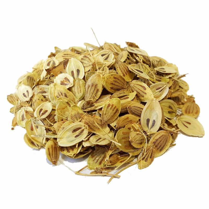 Price and Buy Golpar: Dried Angelica Seeds / Persian Hogweed 800g – Aromatic Culinary Herb