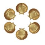 Price and Buy Haft Seen Set – Perfect for Celebrating Nowruz Persian New Year with Shell Design