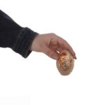 Price and Buy Haftseen Painted Egg for Iranian Nowruz Celebration with Ya Moqallab Al-Qoloub Design (Pack of 3) - Image 5