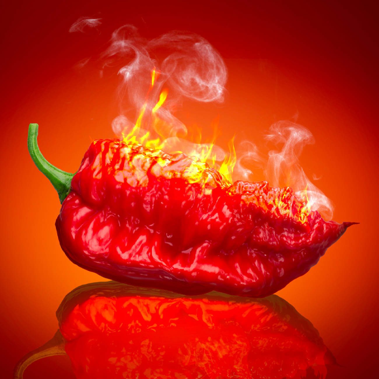 Price and Buy Hamedanian Red Hot Pepper Sauce, 200 gr (6x) - Image 3