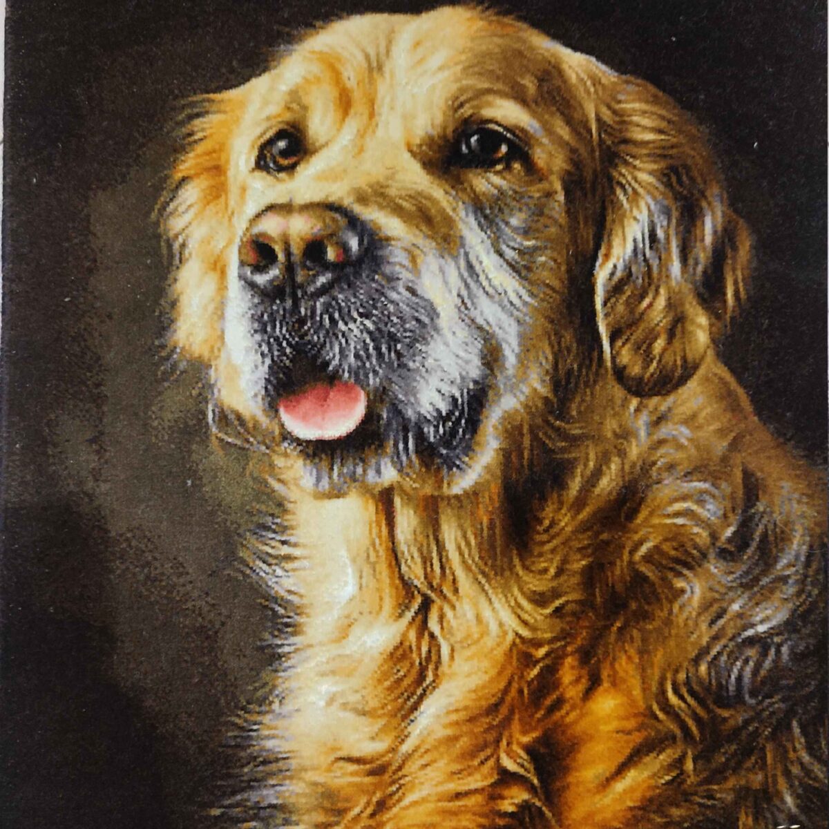 Price and Buy Hand-Knotted Persian Pictorial Rug from Tabriz Depicting Golden Retriever - Image 3
