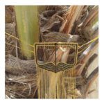 Price and Buy Hand-Sewn Women’s Traditional Burqa – Elegant Ethnic Design - Image 5