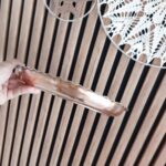 Price and Buy Handcrafted Copper Dinner Plate – Traditional Persian Plate for Elegant Dining and Serving - Image 3