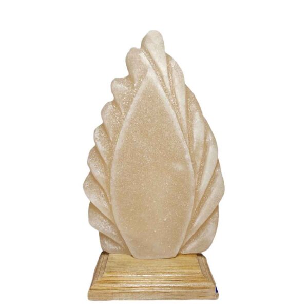 Price and Buy Handcrafted Drop Salt Lamp_68fc0e4792bcb.jpeg Price and Buy Handcrafted Drop Salt Lamp