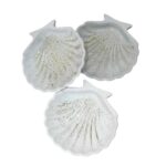 Price and Buy Handcrafted Seashell Jewelry Organizer for Keepsakes and Treasures – Glitter Design 3 Pcs