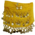 Price and Buy Handmade Belly Dance Hip Scarf with Coins for Women – Sequin & Coin Hip Wrap