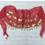 Price and Buy Handmade Belly Dance Hip Scarf with Coins for Women – Sequin & Coin Hip Wrap - Image 3