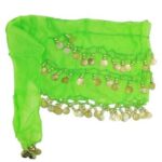 Price and Buy Handmade Belly Dance Hip Scarf with Coins for Women – Sequin & Coin Hip Wrap - Image 7