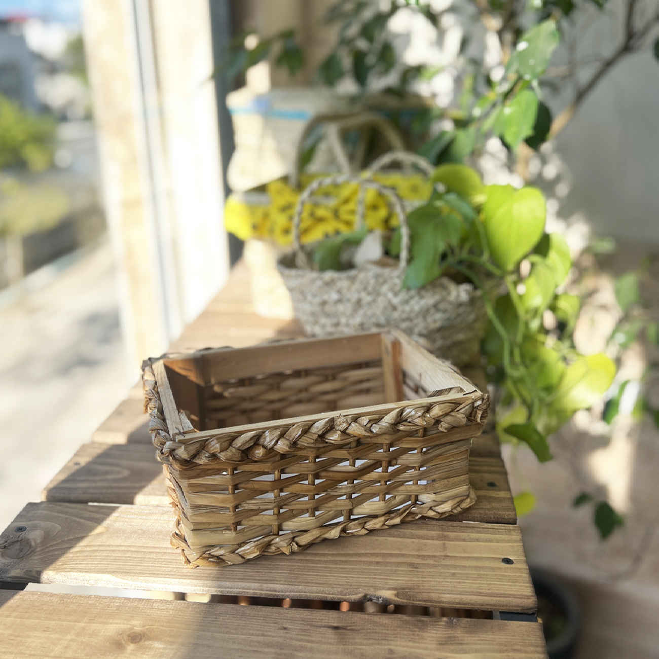 Price and Buy Handwoven Storage Basket for Shelve - Image 9