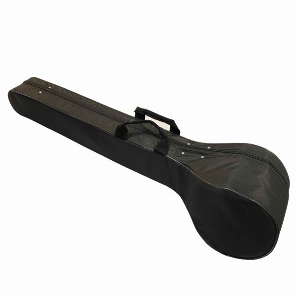 Price and Buy Hard Case for Persian Setar With Foam and Fabric Covering_68fbbda626a77.jpeg Price and Buy Hard Case for Persian Setar With Foam and Fabric Covering