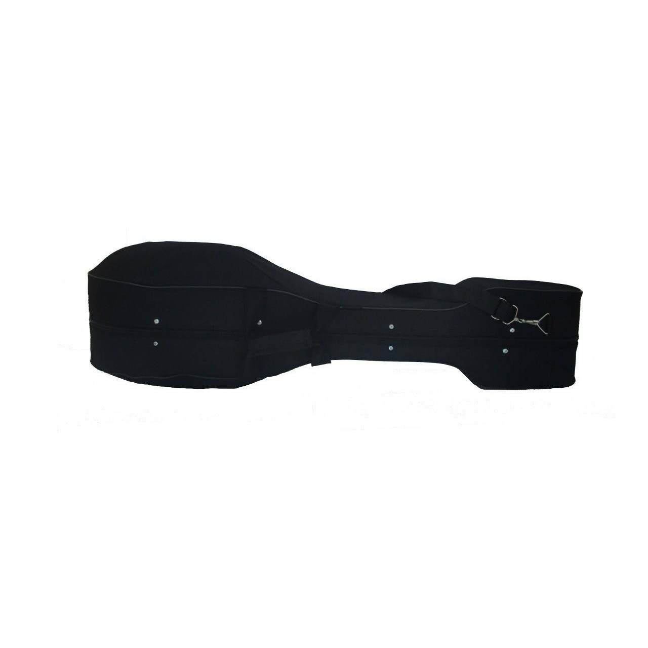 Price and Buy Hard Case for Persian Tar With Foam and Fabric Covering - Image 3