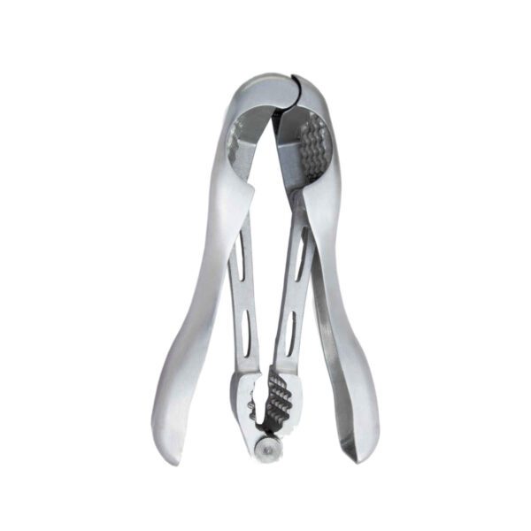 Price and Buy Heavy-Duty Nutcracker – Almond & Walnut Cracker with Ergonomic Aluminum Handle_68fe87dc40289.jpeg Price and Buy Heavy-Duty Nutcracker – Almond & Walnut Cracker with Ergonomic Aluminum Handle