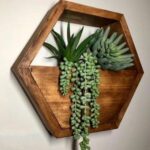 Price and Buy Hexagon Wall-Mounted Cactus Planter – Wooden Material (1Pc)