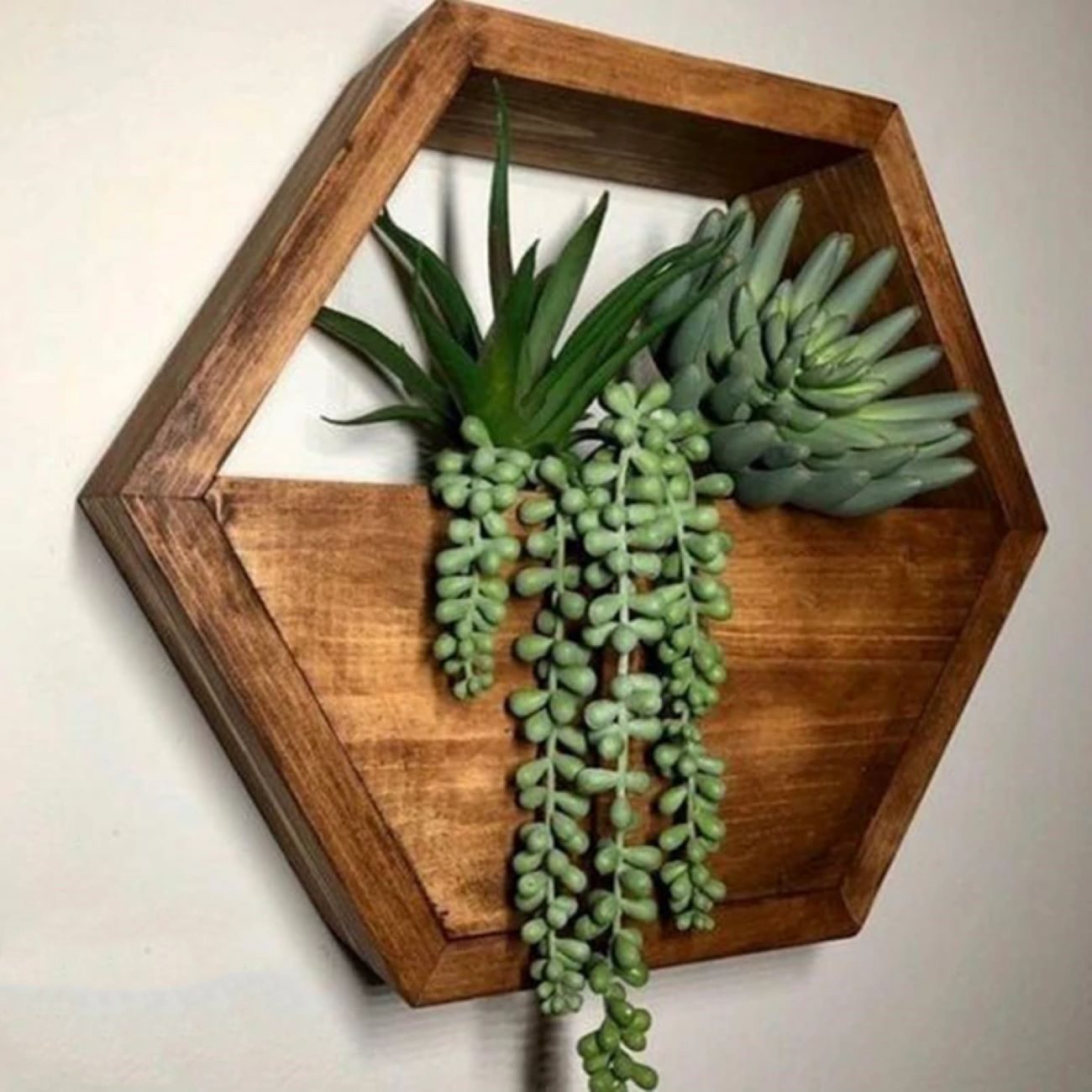Price and Buy Hexagon Wall-Mounted Cactus Planter – Wooden Material (1Pc)_6902af93be795.jpeg Price and Buy Hexagon Wall-Mounted Cactus Planter – Wooden Material (1Pc) - Image 1