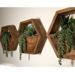 Price and Buy Hexagon Wall-Mounted Cactus Planter – Wooden Material (1Pc) - Image 3
