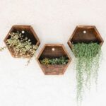 Price and Buy Hexagon Wall-Mounted Cactus Planter – Wooden Material (1Pc) - Image 4