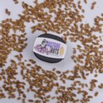 Price and Buy High-Quality Persian Dried White Mulberries – Sweet, Juicy, and Nutritious 200 gr (3 Pack) - Image 3