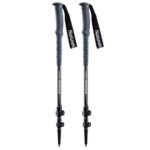 Price and Buy Hiking Pole – Best Choices for Camping & Every Budget, Safety & Comfort (x2)