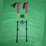 Price and Buy Hiking Pole – Best Choices for Every Budget Support, Safety & Comfort Pack of 2 - Image 4
