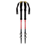 Price and Buy Hiking Pole – Essential Features for Every Outdoor Enthusiast Pack of 2