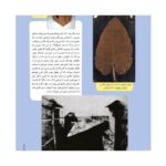 Price and Buy Hoopa: Iranian Children’s Magazine Issue #2 - Image 5