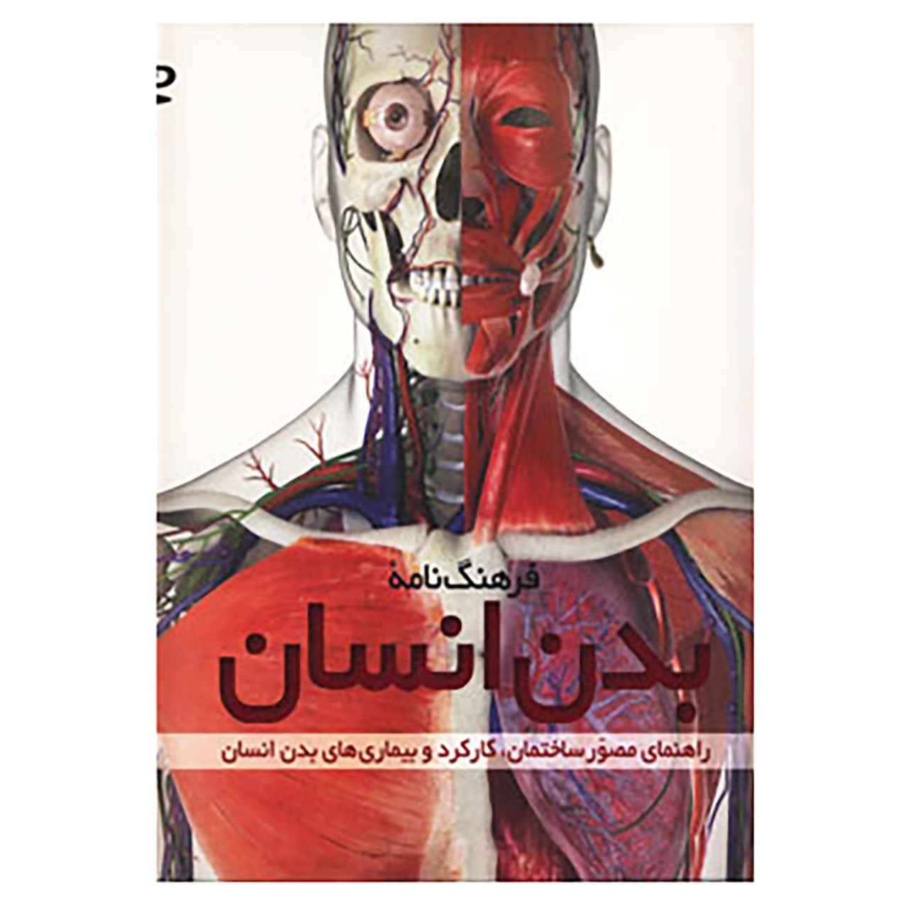 Price and Buy Human Body Book by Steve Parker (Farsi)