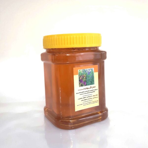 Price and Buy Iranian Alfalfa Honey – Pure Meadow Sweetness (1000g)_68fe5882226b3.jpeg Price and Buy Iranian Alfalfa Honey – Pure Meadow Sweetness (1000g)