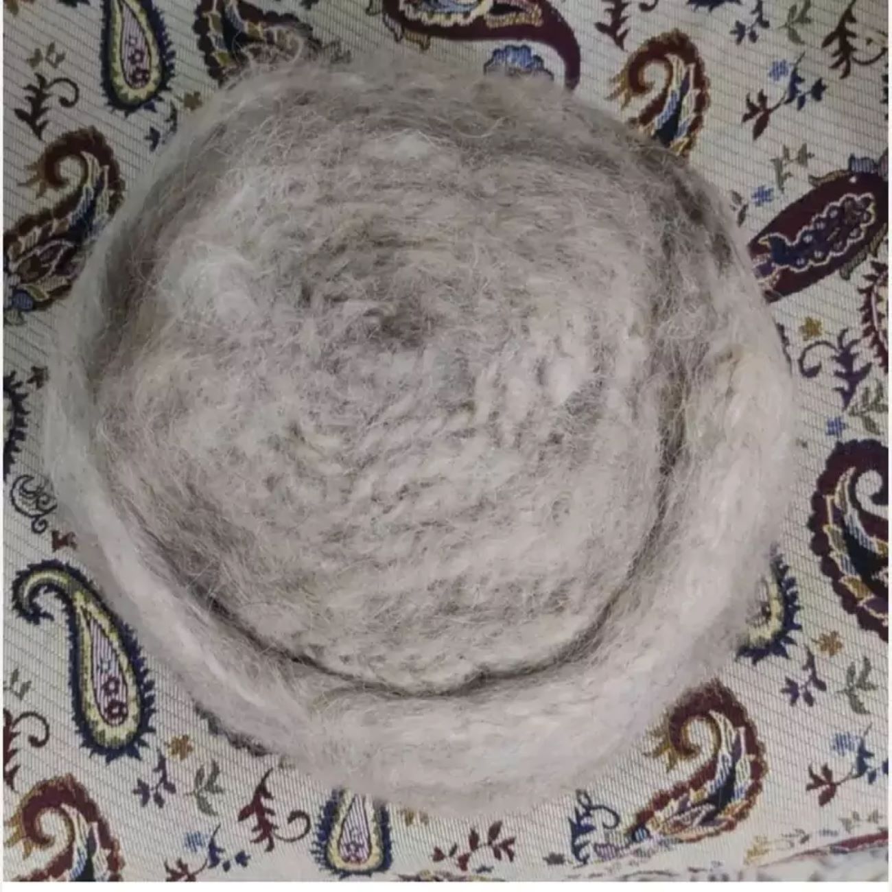 Price and Buy Iranian Dervish Hat – 100% Wool for Sufi Enthusiasts Handmade White Color - Image 3