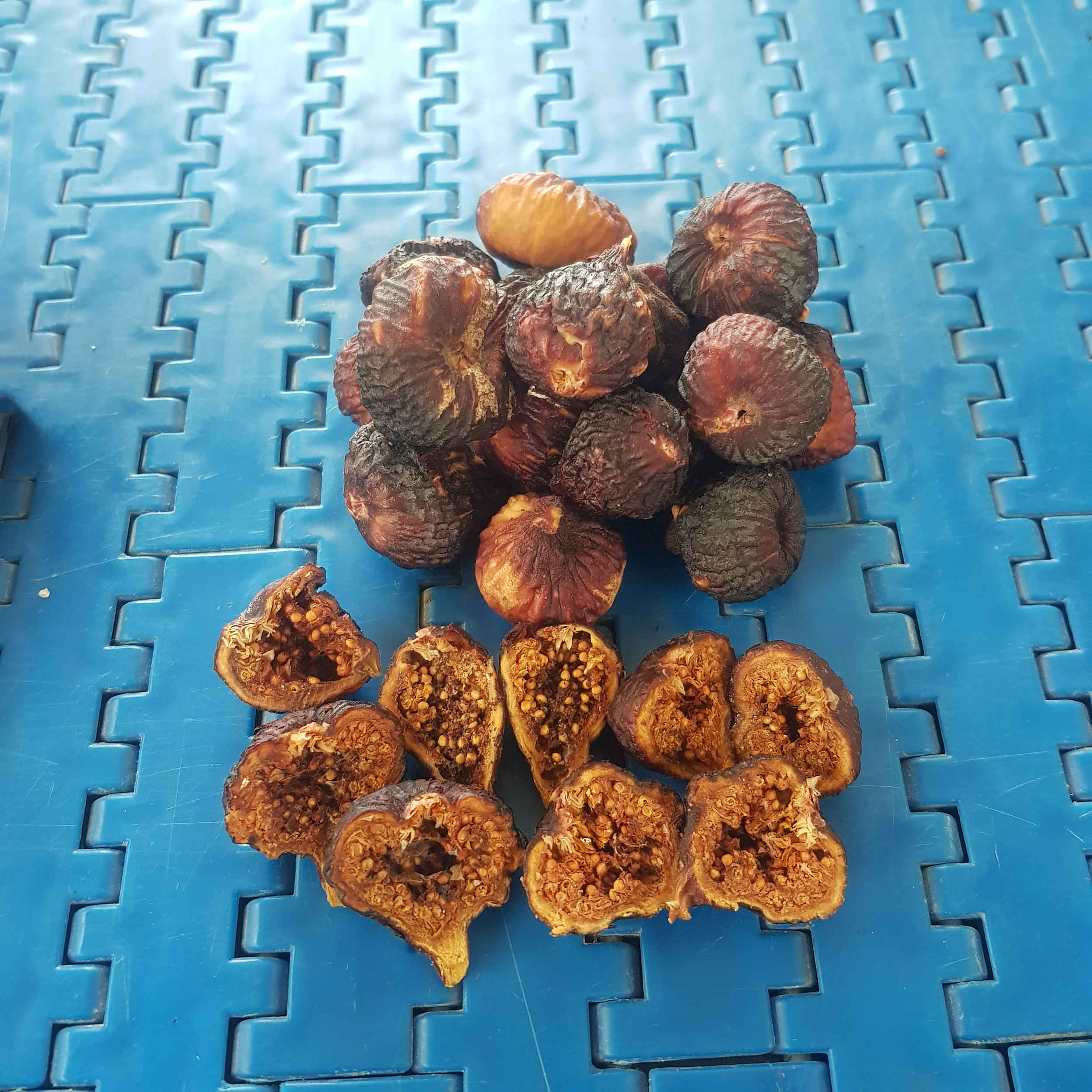 Price and Buy Iranian Dried Black Mission Figs from Estahban – 1000 grams