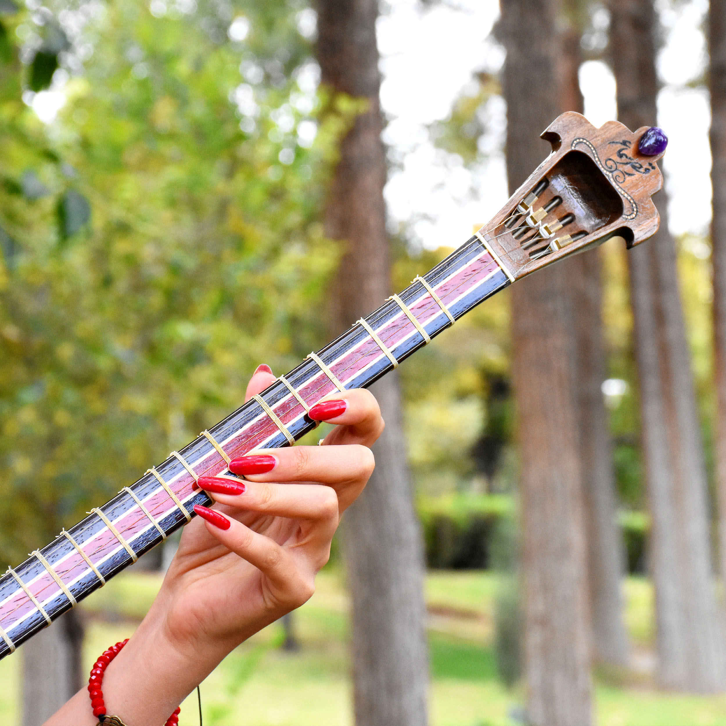 Price and Buy Iranian Setar – Handcrafted by Iransaz, Model Sama (Advanced) - Image 3
