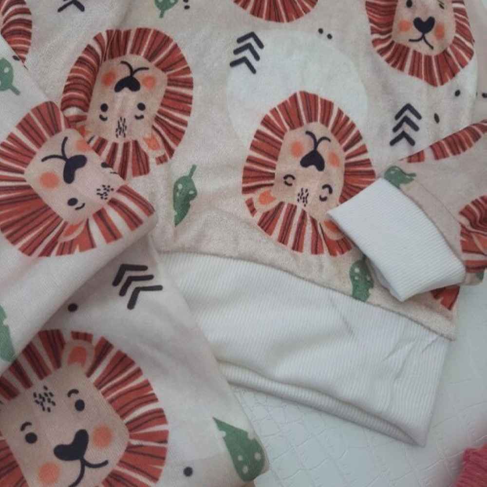 Price and Buy Kid’s Sweatshirt & Pants Set with Lion Design_68fec161c3d50.jpeg Price and Buy Kid’s Sweatshirt & Pants Set with Lion Design - Image 3