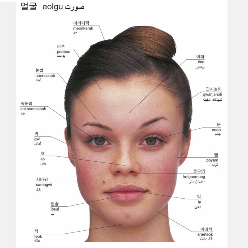 Price and Buy Korean – Persian Visual Dictionary by Zahra Yousefi Rad - Image 4