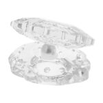 Price and Buy Large Seashell-Shaped Jewelry Stand for Displaying Rings, Earrings, etc