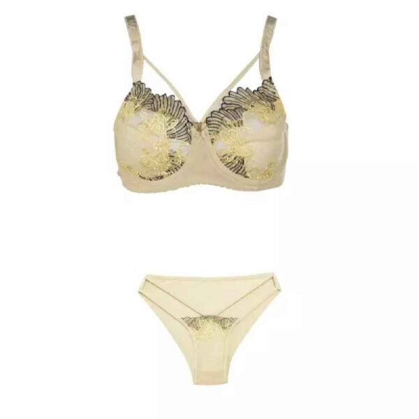 Price and Buy Lingerie Set Lace Bra & Thong Embroidered With Adjustable Strap_68fe597d318c5.jpeg Price and Buy Lingerie Set Lace Bra & Thong Embroidered With Adjustable Strap