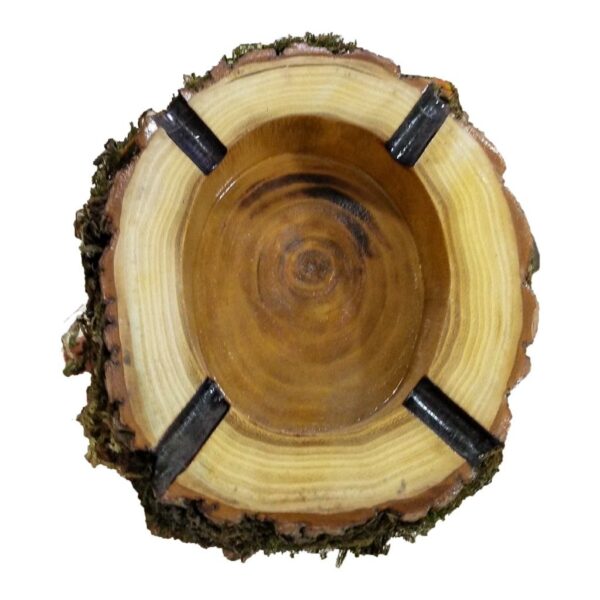 Price and Buy Log Ashtray with Natural Wood Finish – Suitable for Rustic Decor_6902c9ad636ad.jpeg Price and Buy Log Ashtray with Natural Wood Finish – Suitable for Rustic Decor