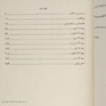 Price and Buy Love People Use Things by Joshua Fields Millburn and Ryan Nicodemus (Farsi) - Image 3