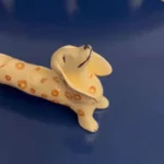 Price and Buy Luxury Decorative Ceramic Candle Holder – Light Up Your Space in Style - Image 4