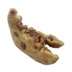 Price and Buy Mehrvazin Fooman Iranian Koloocheh Stamped Cookies – Pack of 10 (x2) – 400 gr - Image 4