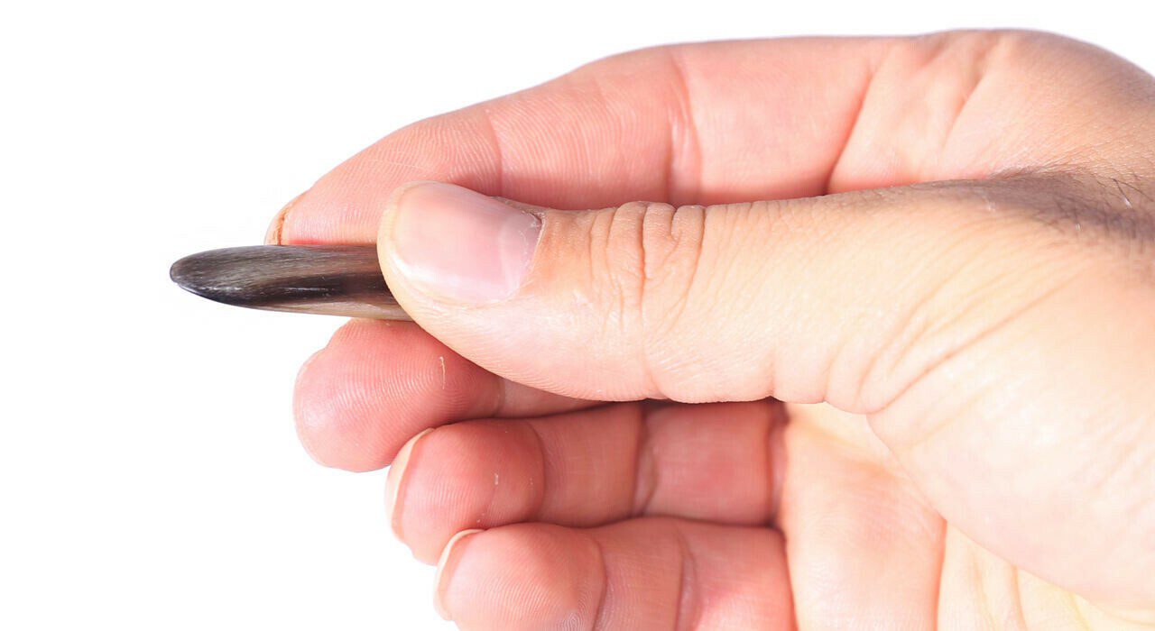 Price and Buy Mezrab Pick for Persian Tar Model Horn (2x) - Image 4
